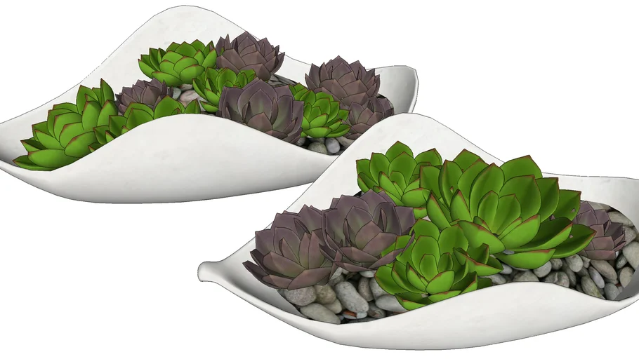 Planta tanaman pot 5