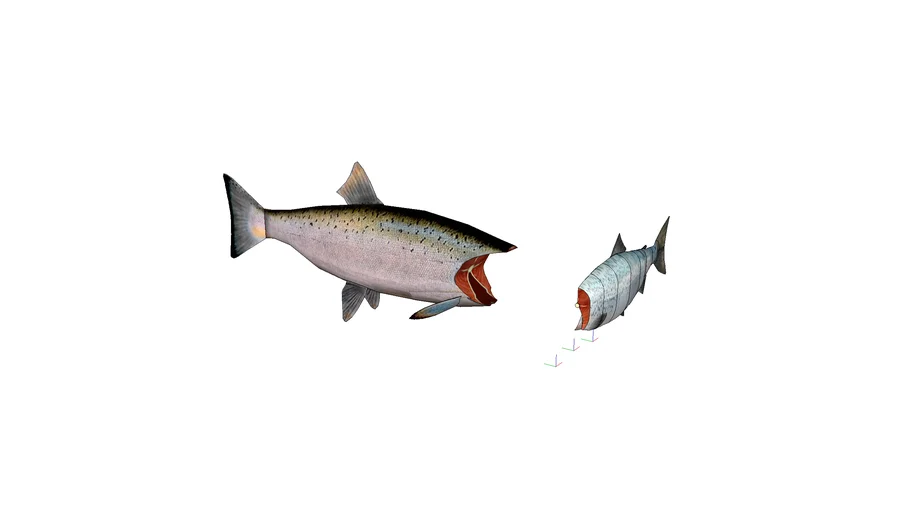 Fish (Pescado)