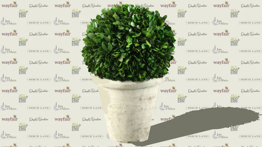 Plant Pot