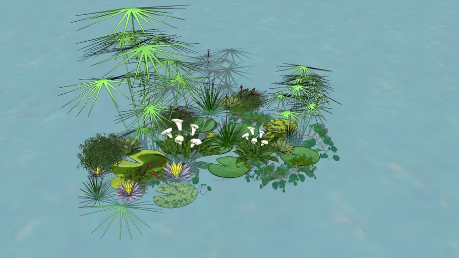 Lirios y Limbos de agua