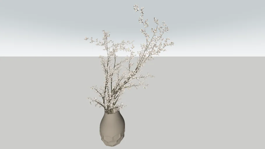 vase delicate flowers