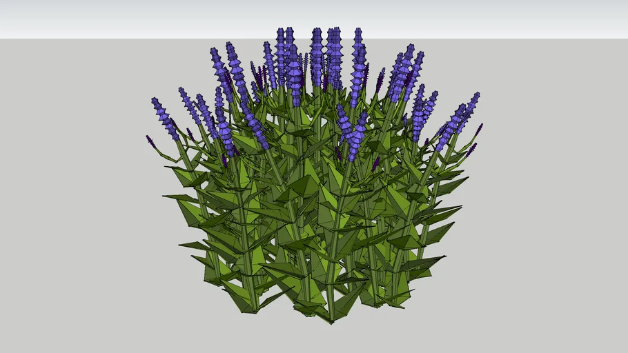 salvia low poly