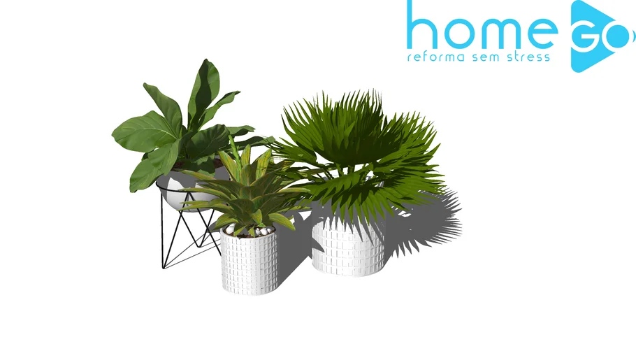Conjunto vasos com plantas