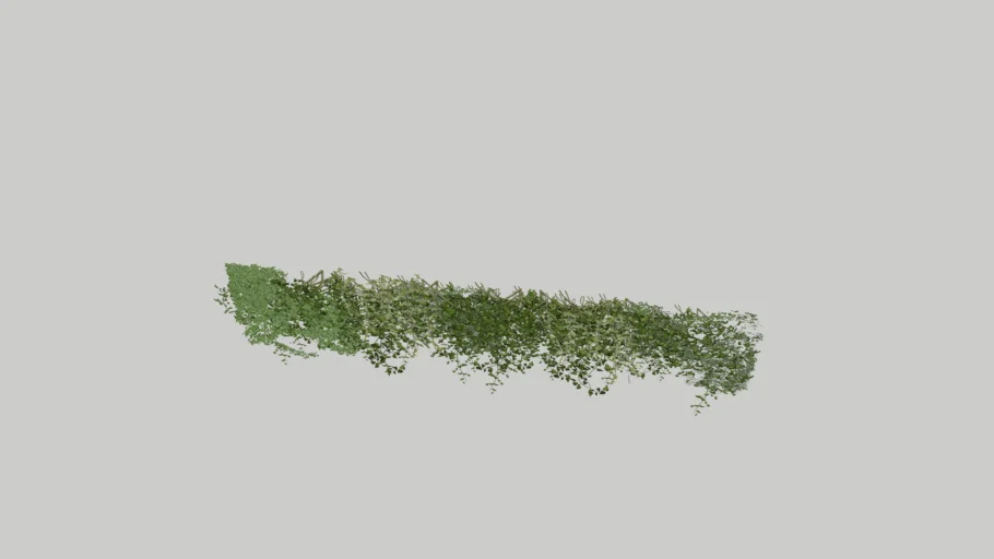 plant wall