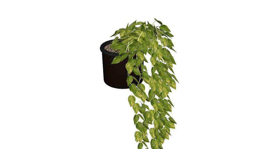 Cachepot melinda preto - WESTWING - (20cmXØ20cm)