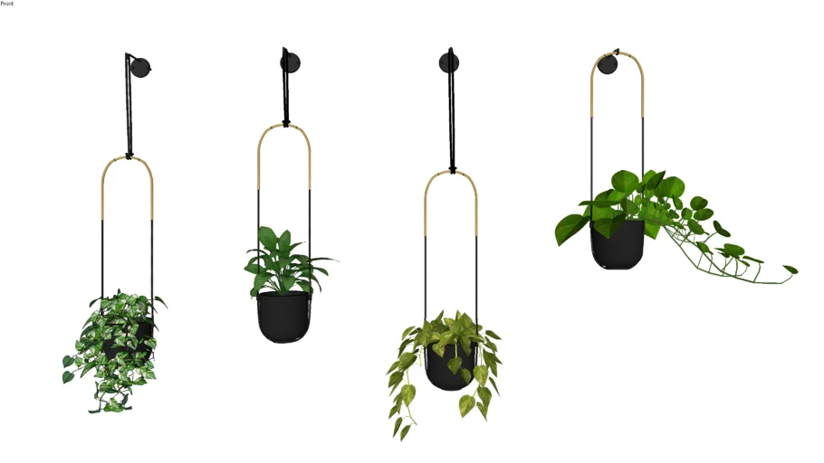 zitruserde olivenbaum Green Home Zitrus Bundle main image 0