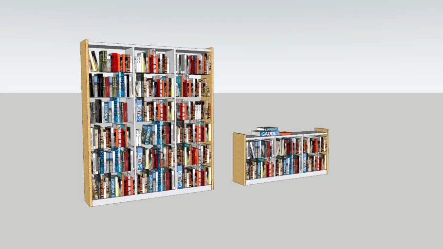 Bookshelf with Books