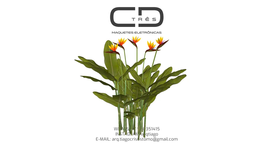 Glass-Vase-Plant
