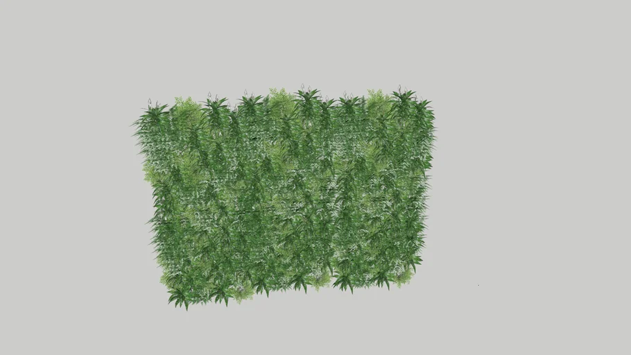PAREDE+VERDE