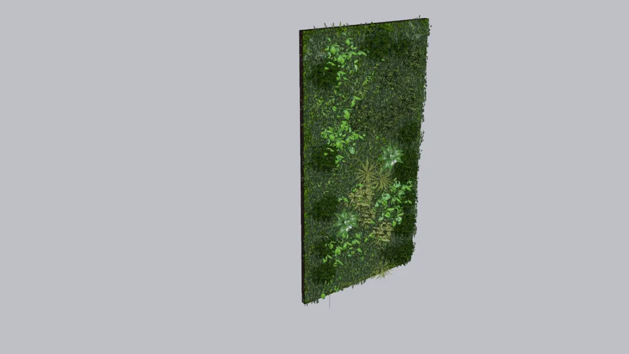 Mur végétal