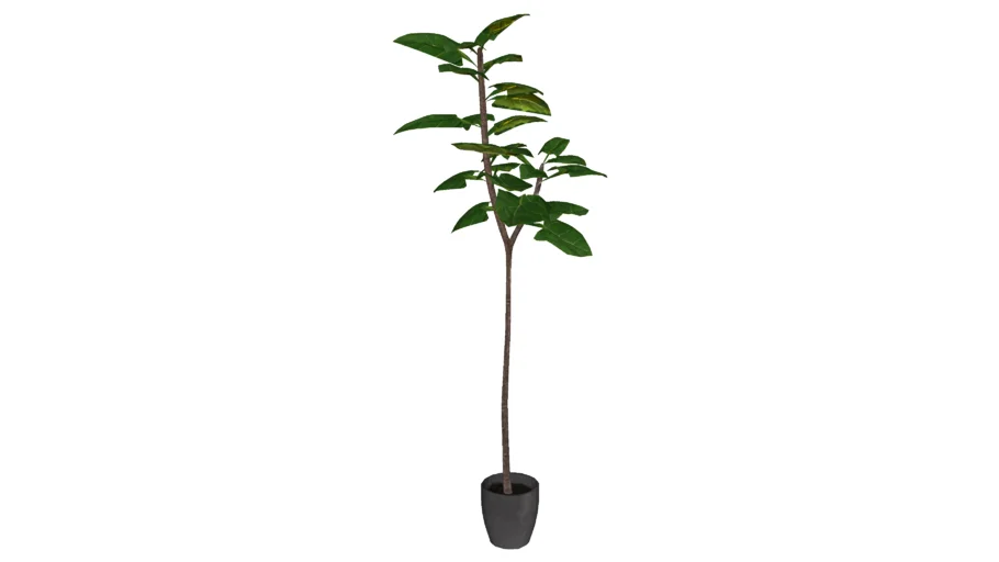 60717 Deco Plant Leaf Tree 170cm