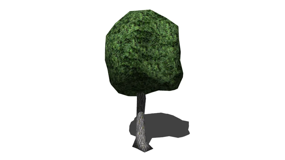 Arvore 3D