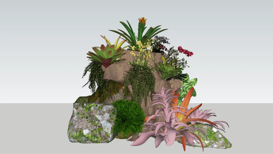 ROCAS TRONCO Y BROMELIAS