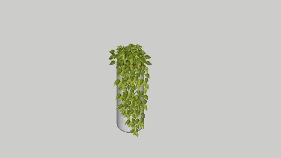 CONCRETE CYLINDER-MACETA CILINDRO-PLANT