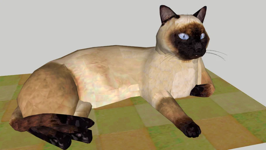 gatto thai sdraiato
